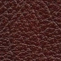 Pelle Buffalo Bordo